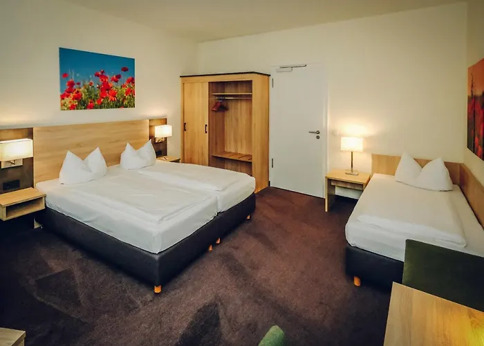 Hotel Europa 3*